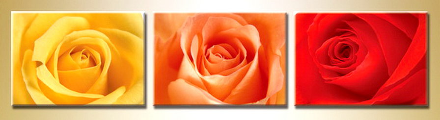 триптих розы - роза - оригинал
