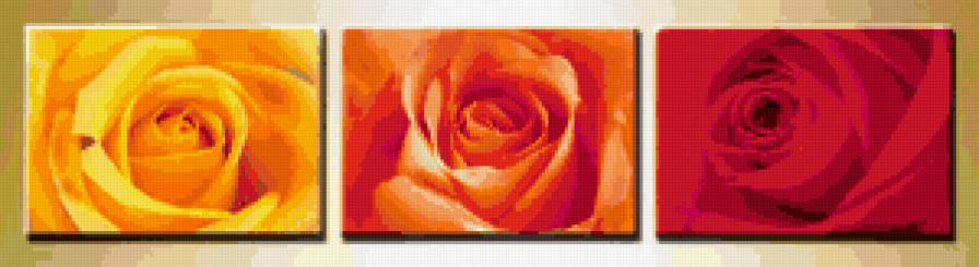 триптих розы - роза - предпросмотр