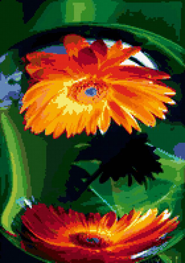 герберы - цветы - предпросмотр