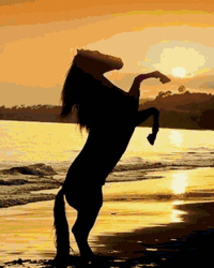 Лошадь на закате! - лошади, море, закат - предпросмотр