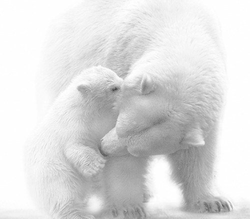 №365933 - оригинал