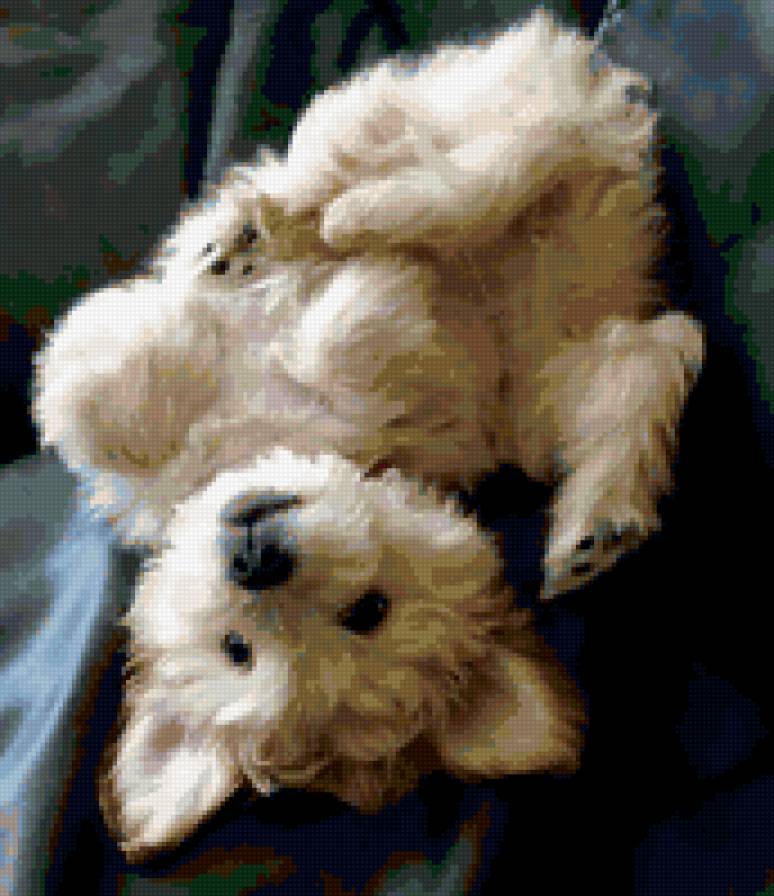 №366102 - предпросмотр