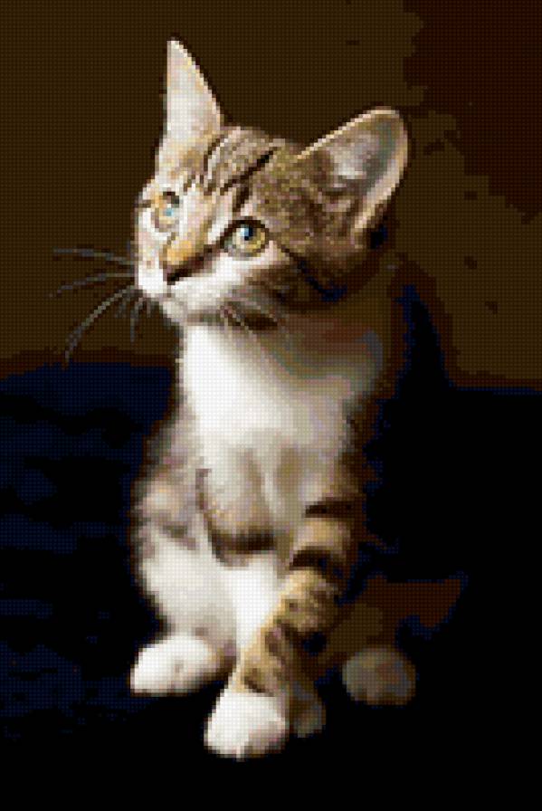 №366120 - предпросмотр