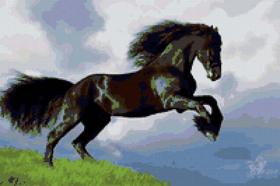 черный конь - предпросмотр