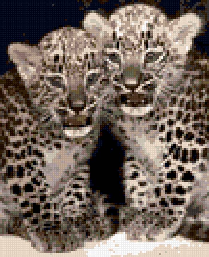 детеныши леопарда - предпросмотр