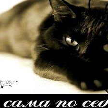 Схема вышивки «Я сама по себе...»