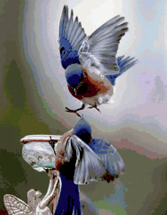 птицы - птица, природа - предпросмотр