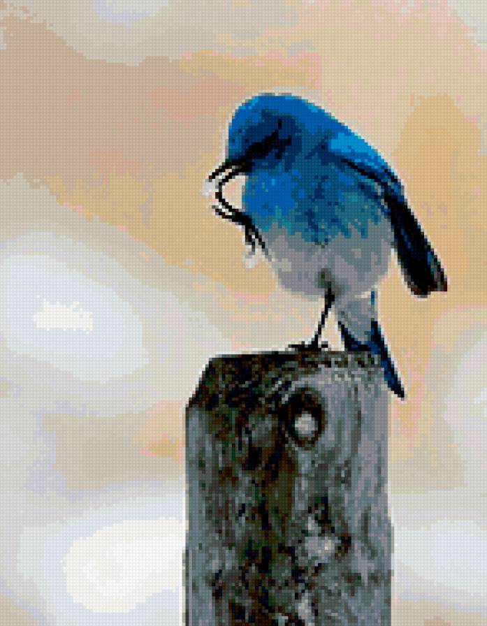 птица - птицы, природа - предпросмотр