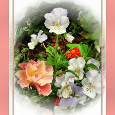 Схема вышивки «№366415»