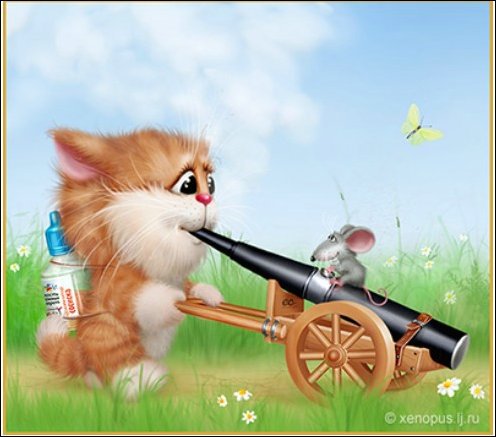 №366533 - кот - оригинал