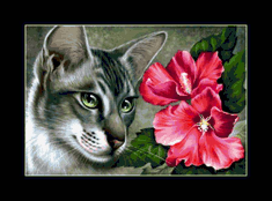 кошечка-1 - предпросмотр