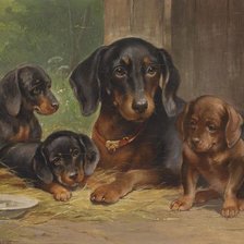 собачья серия