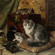 Схема вышивки «кошачья серия»