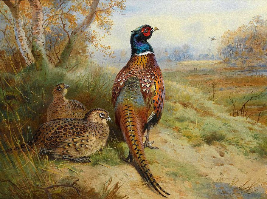 №366724 - живопи, цветы, картины, девушка, фэнтези, дети, красота женщины - оригинал