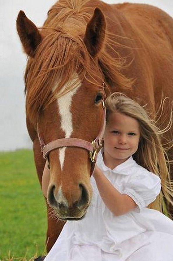 девочка и лошадь - оригинал