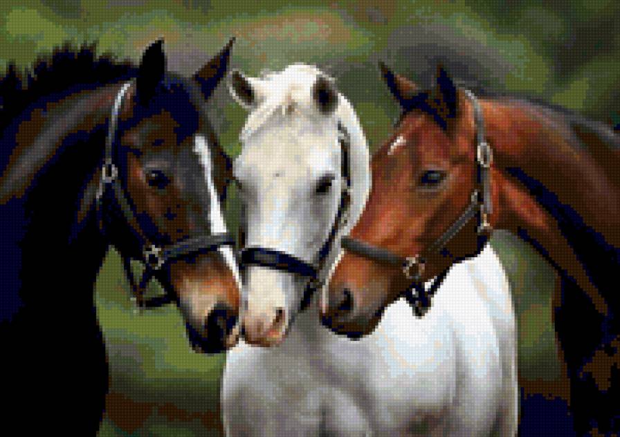 лошадки - предпросмотр