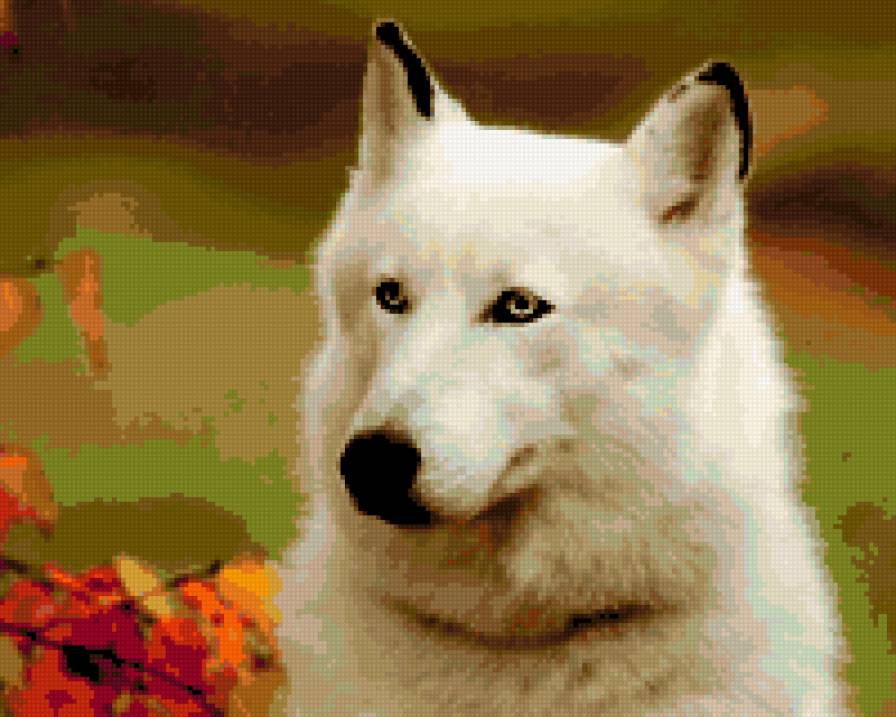 Хаски - предпросмотр