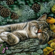 Схема вышивки «котяра»