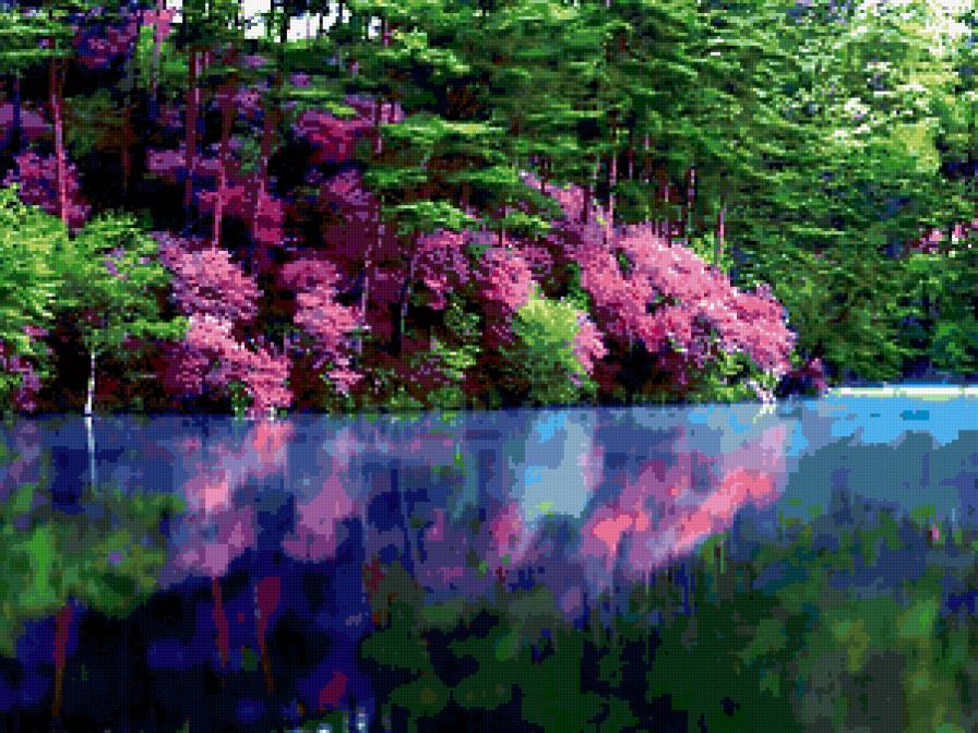 багульник - предпросмотр