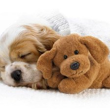 Схема вышивки «щенок»