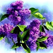 Схема вышивки «сирень»