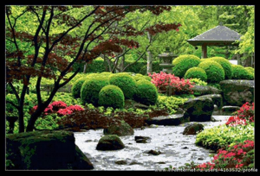 №367251 - цветы, садовый участок - предпросмотр