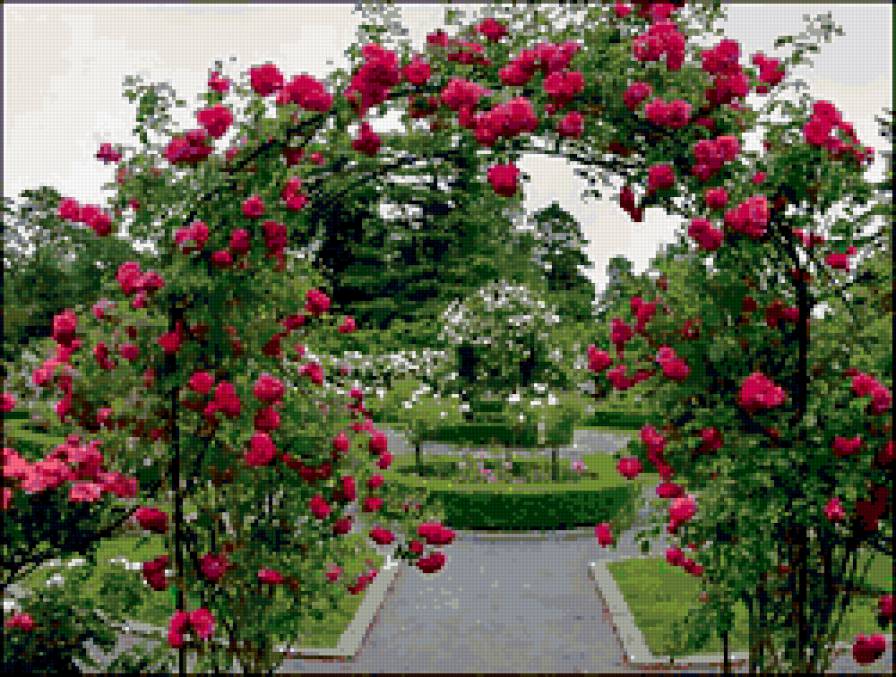 №367273 - садовый участок, цветы - предпросмотр