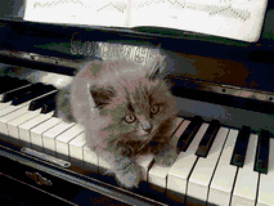 томас - животные, котэ, котейка - предпросмотр