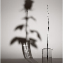 Схема вышивки «Ч/Б»