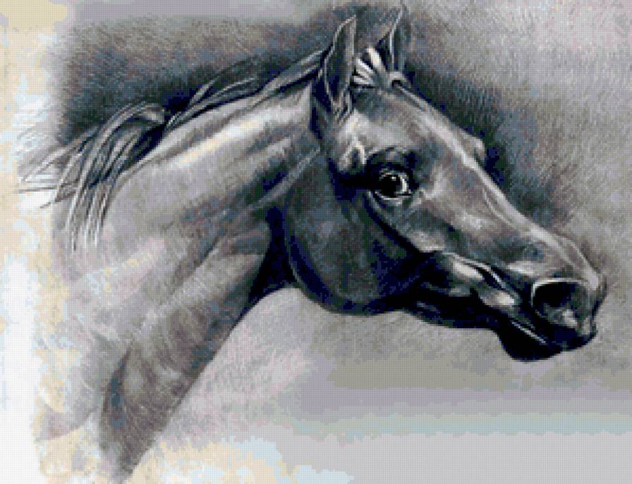 лошадь - животные - предпросмотр