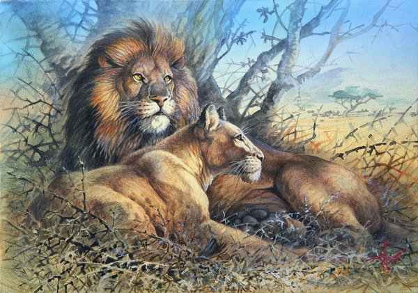 львы - картина - оригинал