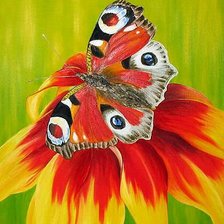 Схема вышивки «мотылек-2»