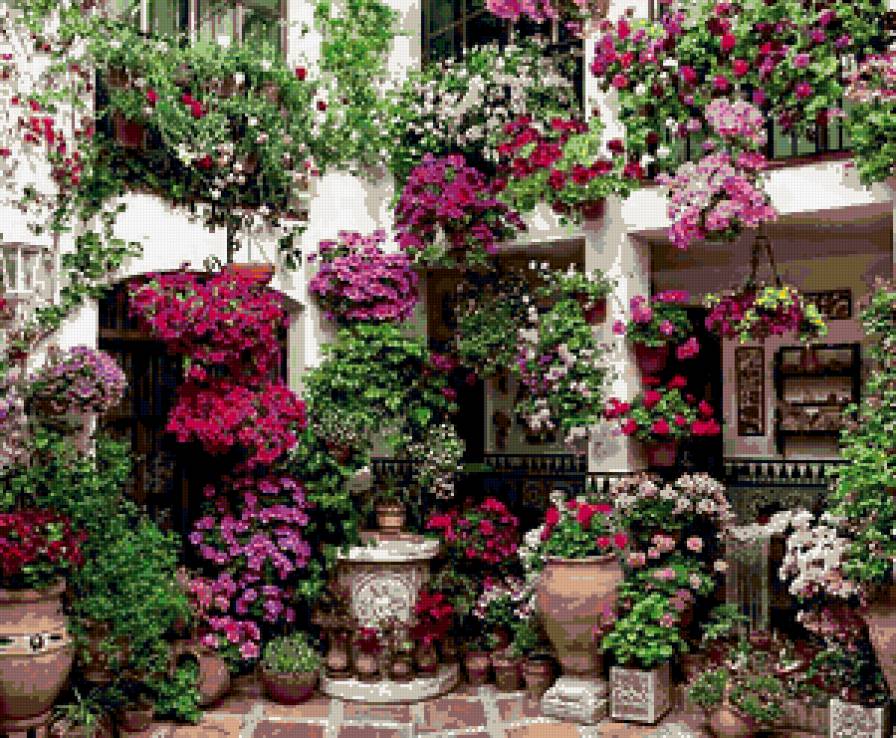 цветник - кашпо, букет, горшки, дворик, балкон, цветы - предпросмотр
