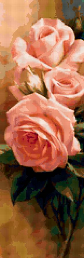 розы - букет, роза, цветы - предпросмотр
