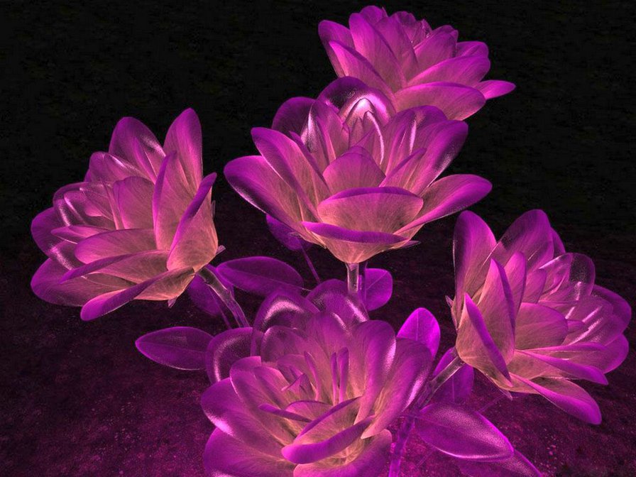 фиолетовое - оригинал