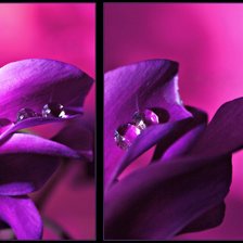 Схема вышивки «триптих-фиолетовое»