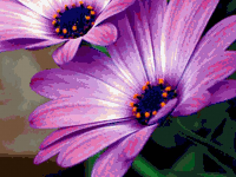 фиолетовое-3 - предпросмотр