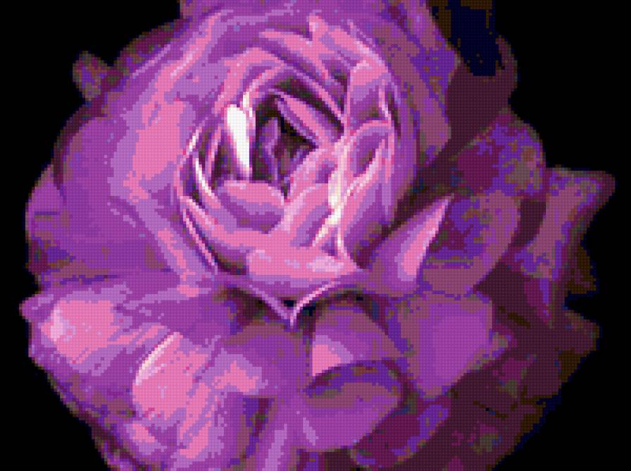 фиолетовое-4 - предпросмотр