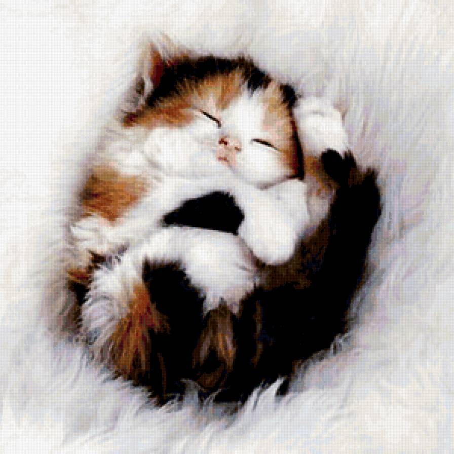 милый клубочек - котенок, сон, милашка, кот, лапушка - предпросмотр