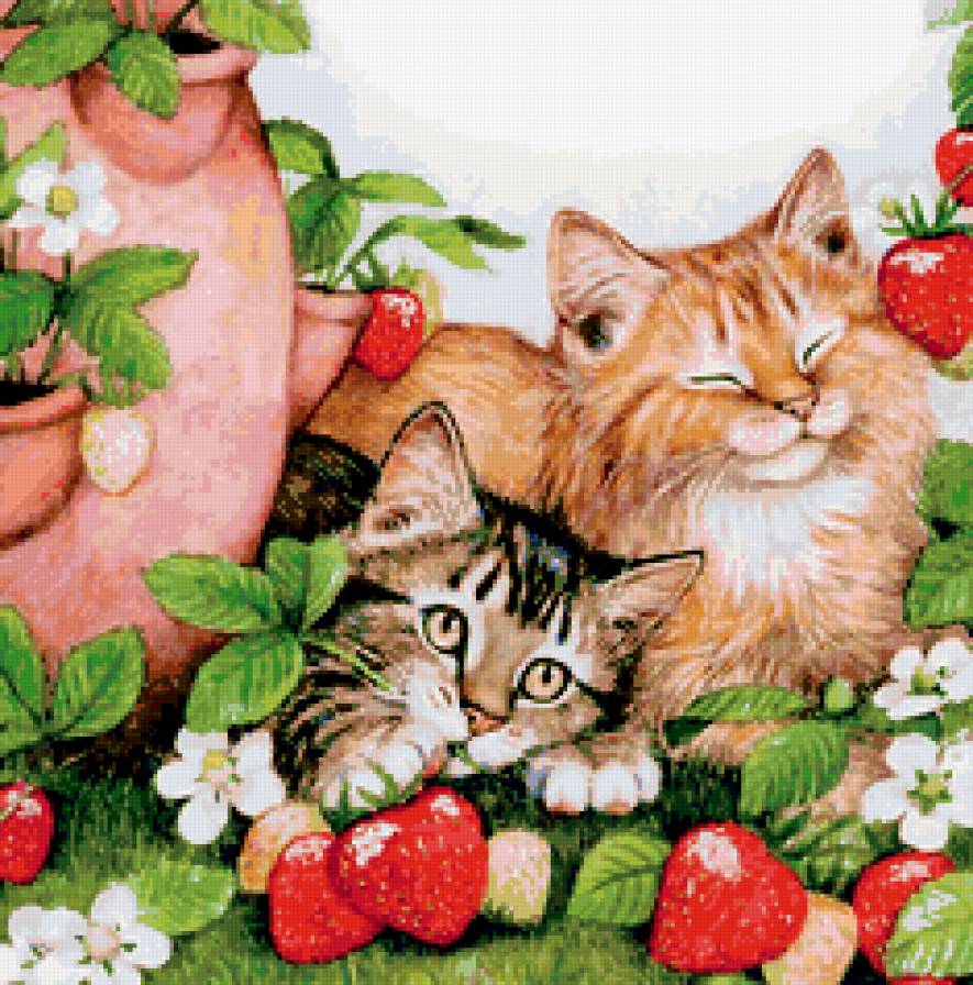 кошечки - предпросмотр