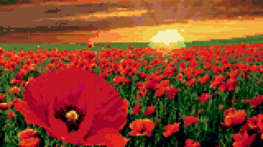 МАКОВОЕ ПОЛЕ 30ЦВЕТОВ - предпросмотр