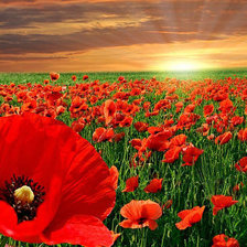 Схема вышивки «№367688»