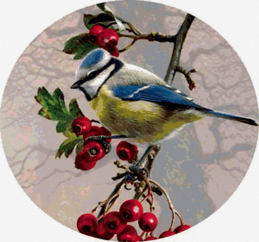 синичка - птичка - предпросмотр