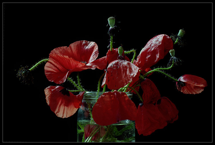 №367774 - оригинал