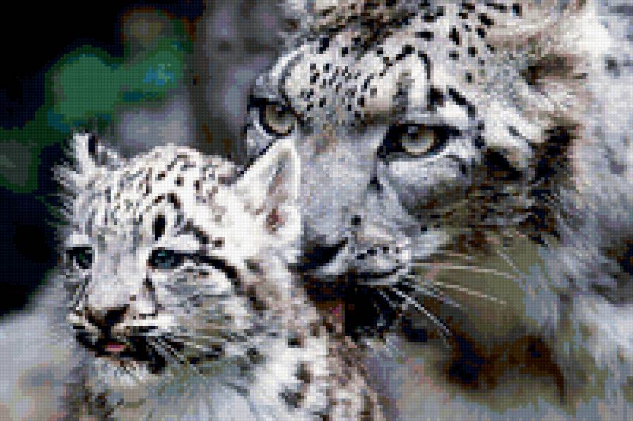 Забота - предпросмотр