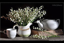 Схема вышивки «№367897»