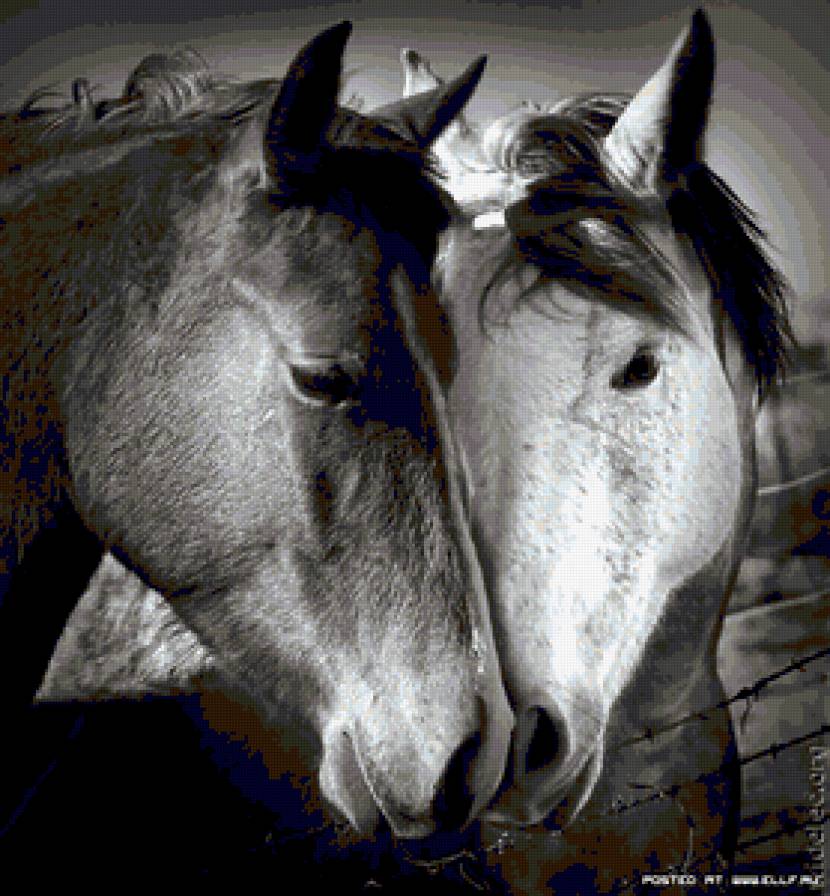 №367909 - предпросмотр