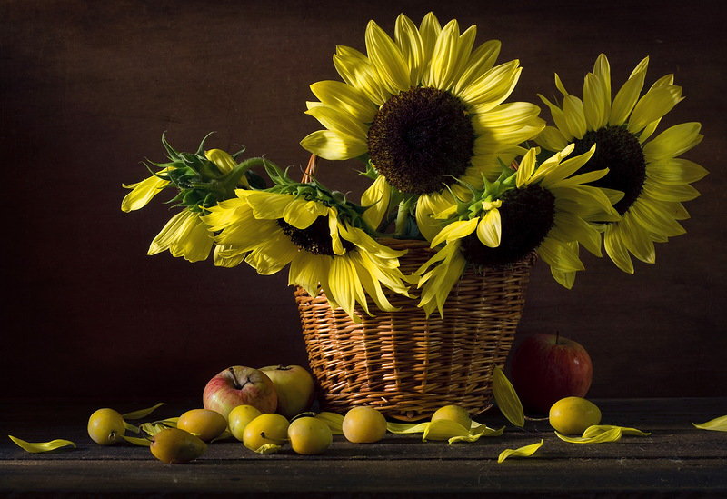 №367944 - оригинал