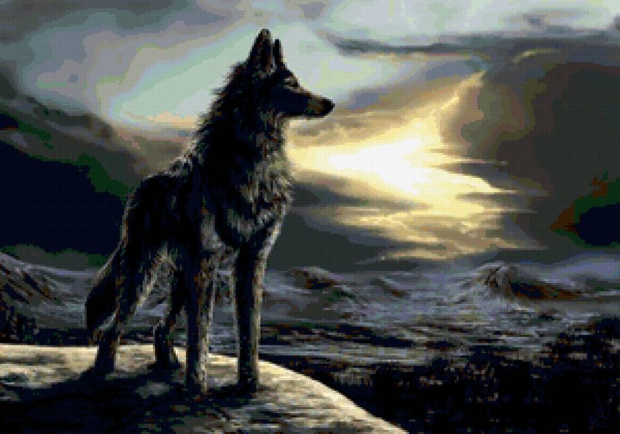 Волк - даль, животные, волк, скала - предпросмотр