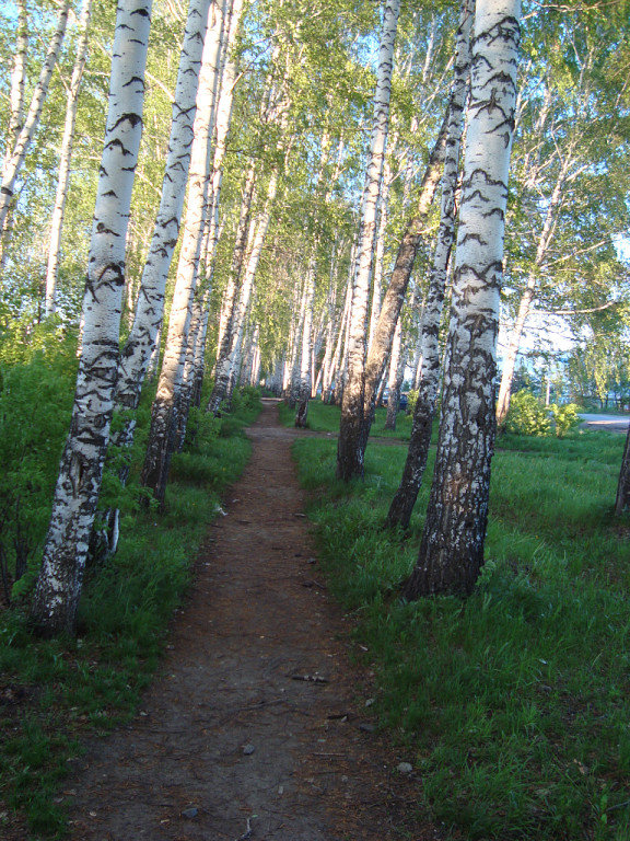 №367997 - оригинал